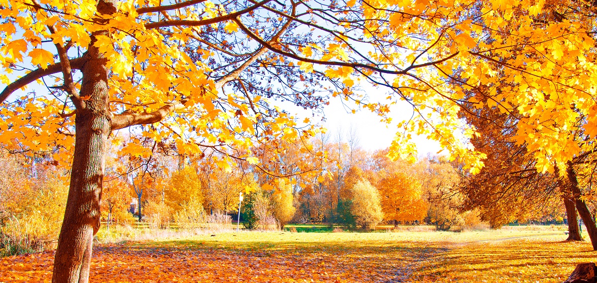 Autumn scenery in Czechia